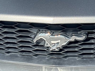 2008 Ford Mustang GT Deluxe