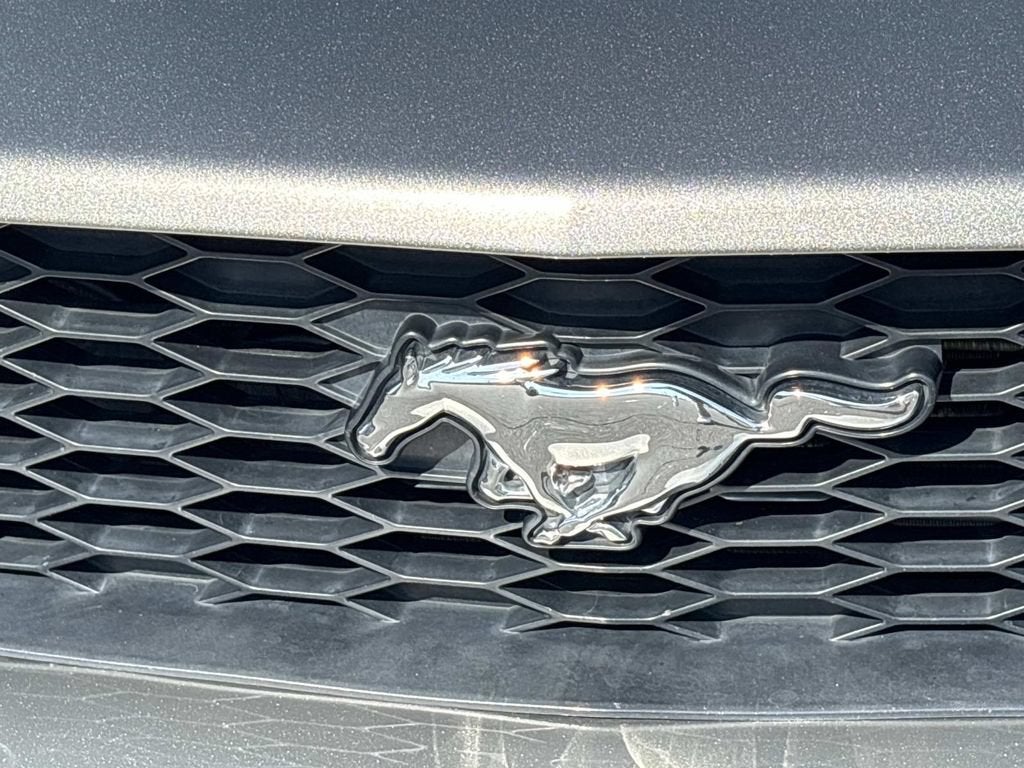 2008 Ford Mustang GT Deluxe
