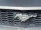 2008 Ford Mustang GT Deluxe