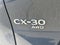 2024 Mazda Mazda CX-30 2.5 S Carbon Edition